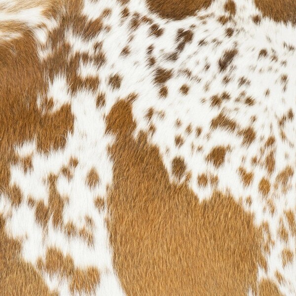 HOCPC.Red and White Speckled.01.jpg Hair-on Cowhide Pre-Cuts Image